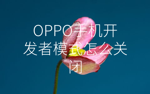 OPPO手机开发者模式怎么关闭