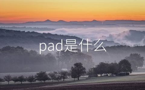 pad是什么