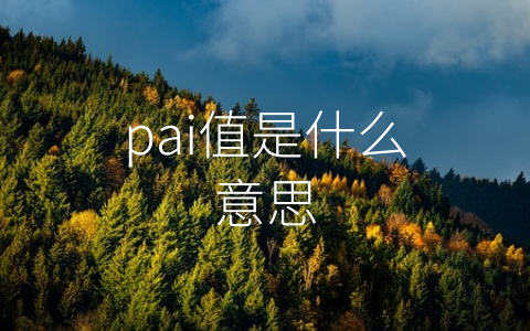 pai值是什么意思