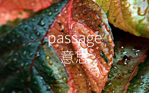 passage意思