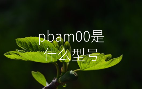 pbam00是什么型号