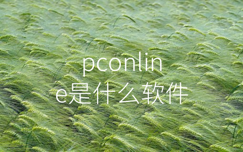 pconline是什么软件