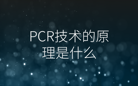 PCR技术的原理是什么