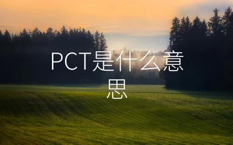 PCT是什么意思