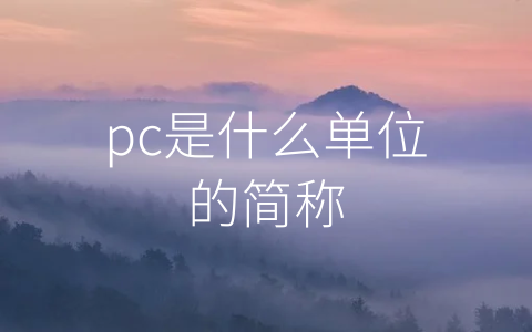 pc是什么单位的简称