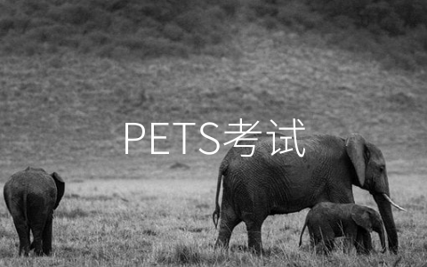 PETS考试