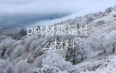 pet材质是什么材料