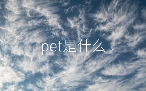 pet是什么