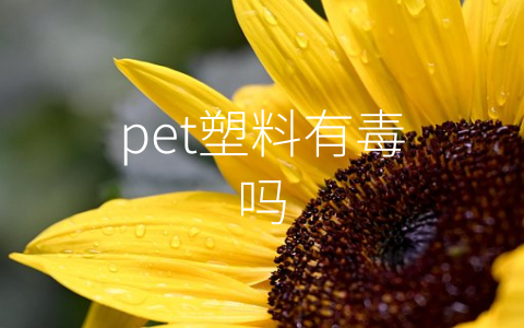 pet塑料有毒吗