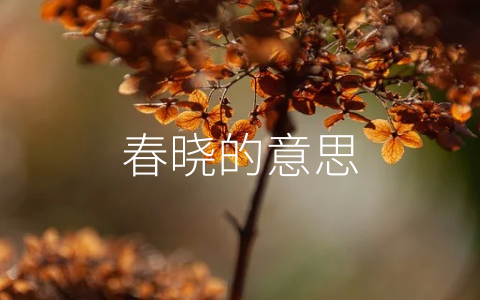 春晓的意思