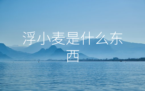 浮小麦是什么东西