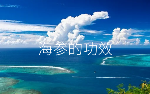 海参的功效