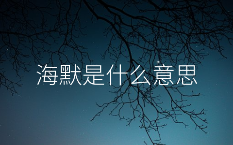 海默是什么意思