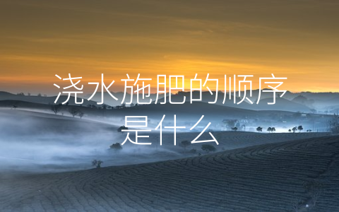 浇水施肥的顺序是什么