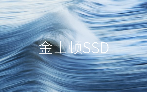 金士顿SSD