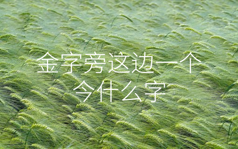 金字旁这边一个今什么字