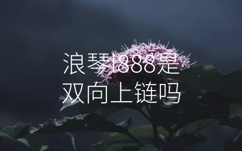 浪琴l888是双向上链吗