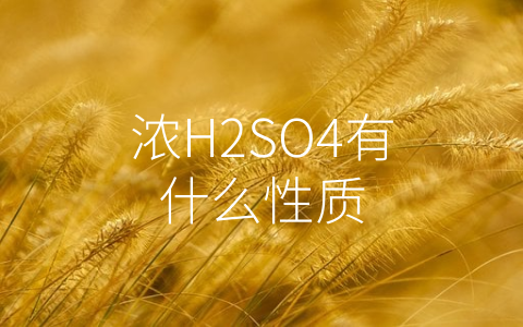 浓H2SO4有什么性质